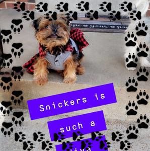 Meet your Posher, Diane